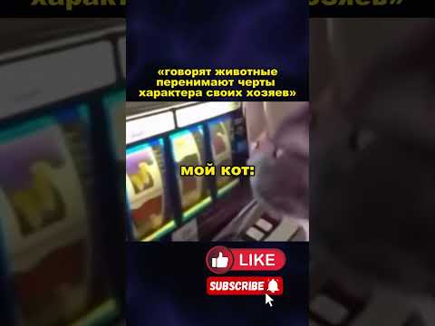 🤭 #казино #деньги #казиноонлайн #мем #юмор #ставки #шортс #прикол #приколы #мем #мемы