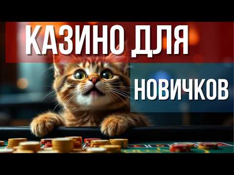 🎰 КАЗИНО ДЛЯ НОВИЧКОВ | 🔥 ЛУЧШИЕ ОНЛАЙН КАЗИНО