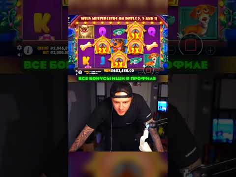 ПОЙМАЛ ПОЛЯНУ СИНИХ СОБАК?! ЕГОР КРИД ВЫИГРАЛ ПОЧТИ 2 ЛЯМА РУБЛЕЙ С БОНУСКИ В DOG HOUSE? #егоркрид