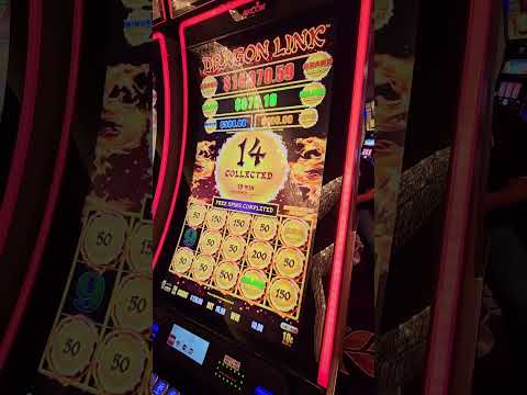 Why This Is My Go-To Bet on Dragon Link… #gambling #casino #slots