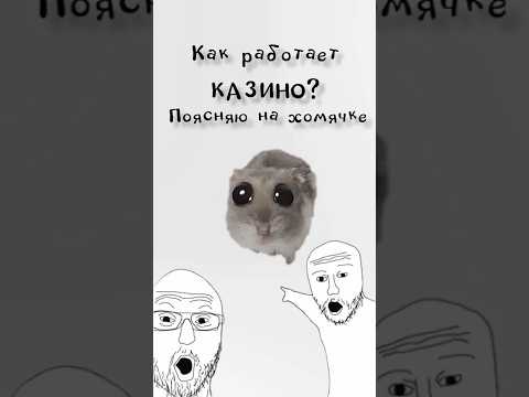 🎰🐹Как работает казино? #казино #деньги #финансы #хомяк