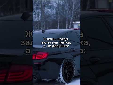 #темка #темки #темщик #казино #деньги #миллионер