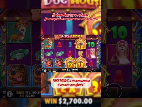THE DOG HOUSE ОТДАЛ ВСЕ СВОИ ДЕНЬГИ! МЕГА ЗАНОС!!! #slot #казино #заносынедели
